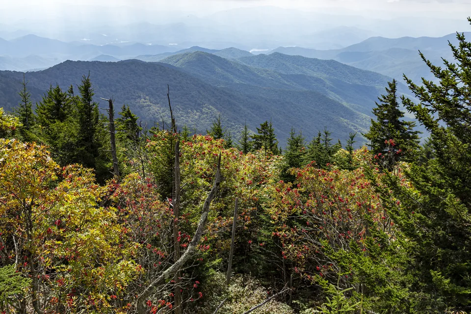 Blue ridges seen east from Clingmans Dome, Great Smoky Mountains.