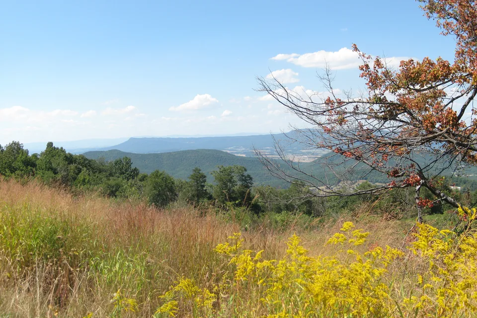 Shenandoah National Park ridges in autumn color.