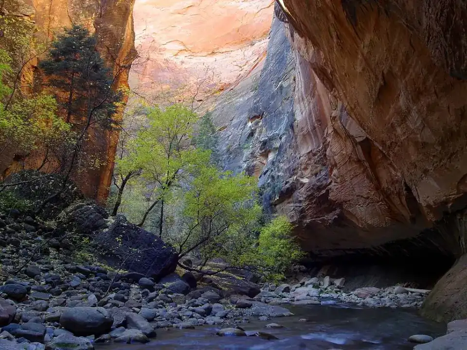The Narrows slot canyon at Zion National Park.